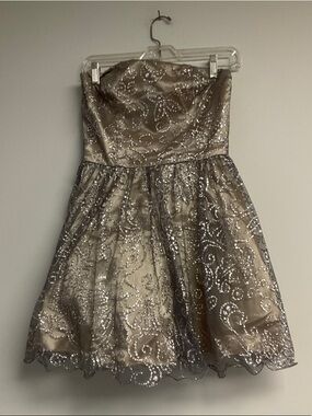 Masquerade Champagne and Silver Sparkle Dress
